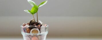 Coins and a growing plant