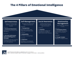 Image of The 4 Pillars of Emotional Intelligence resource